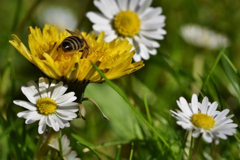 Neues Programm Februar - Juli 2020